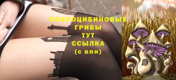 ГАЛЛЮЦИНОГЕННЫЕ ГРИБЫ Инсар